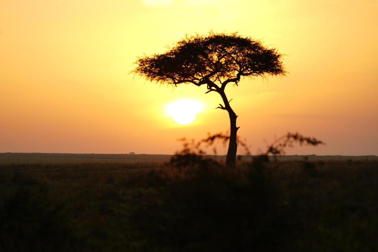Anantya Serengeti Eksteriør billede