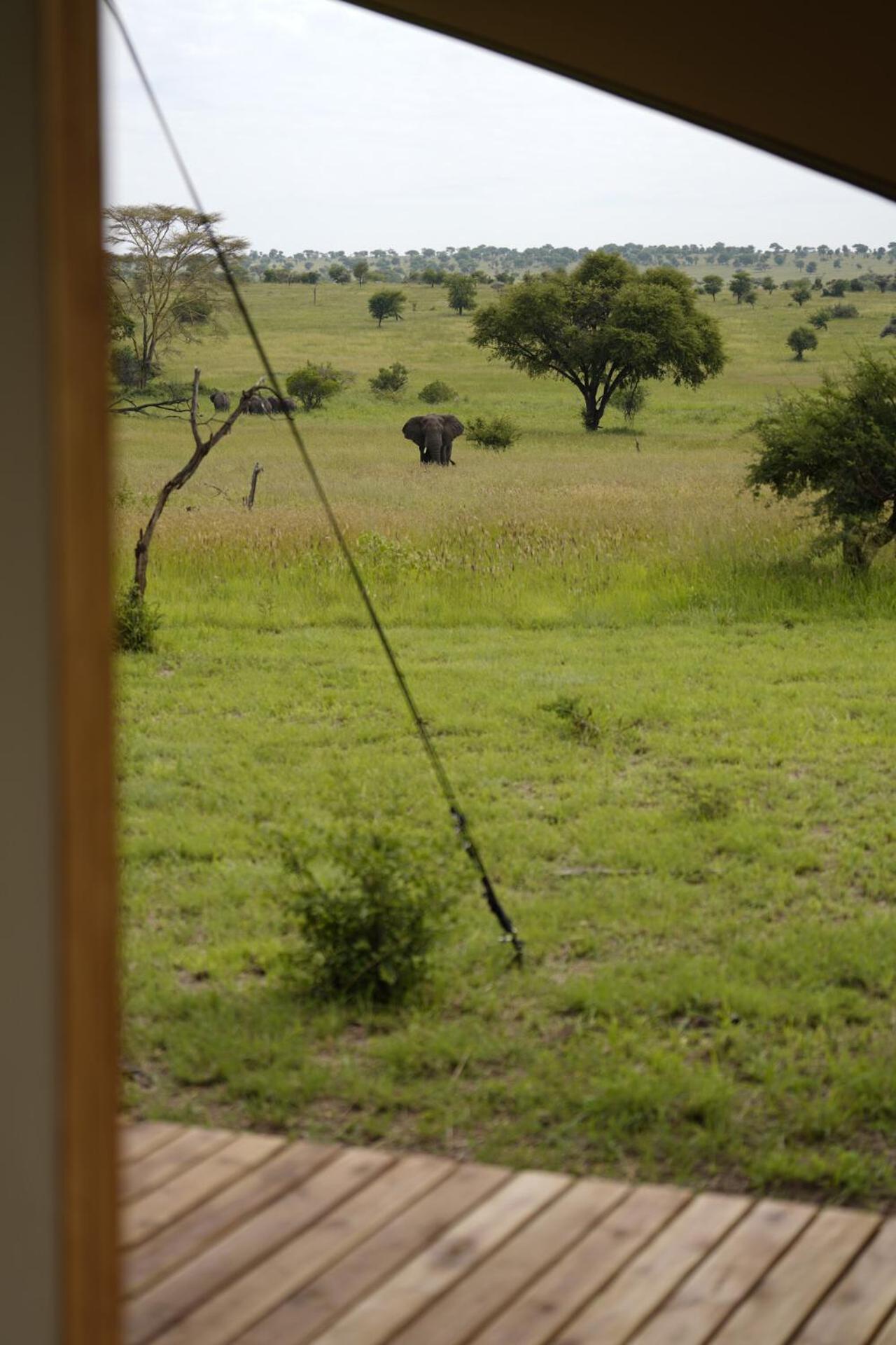 Anantya Serengeti Eksteriør billede